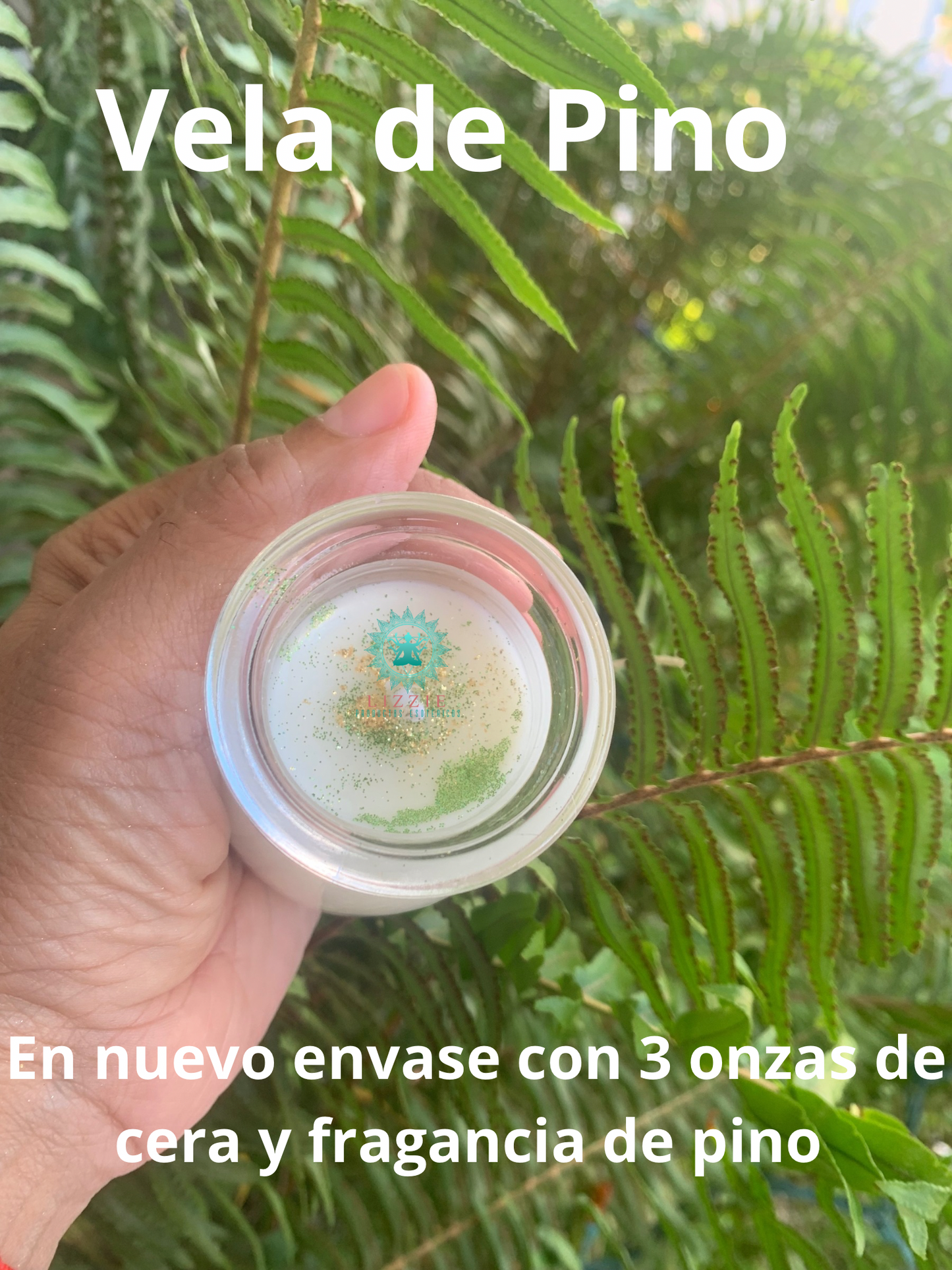 Vela de Pino