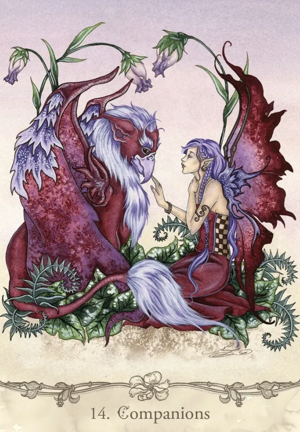 Fairy Wisdom Oracle Deck and Book Set
