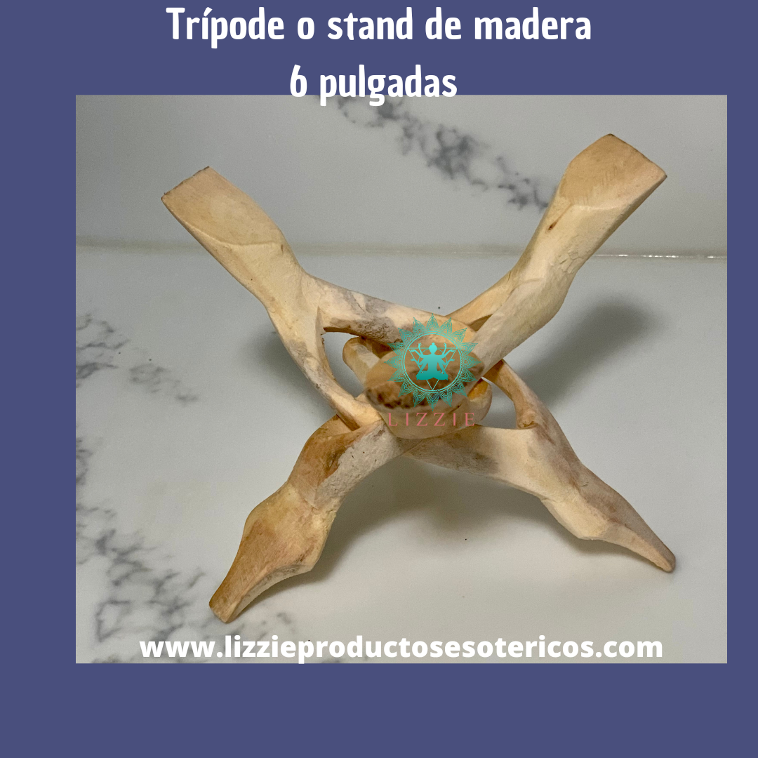 Single abalone shell with wooden pedestal