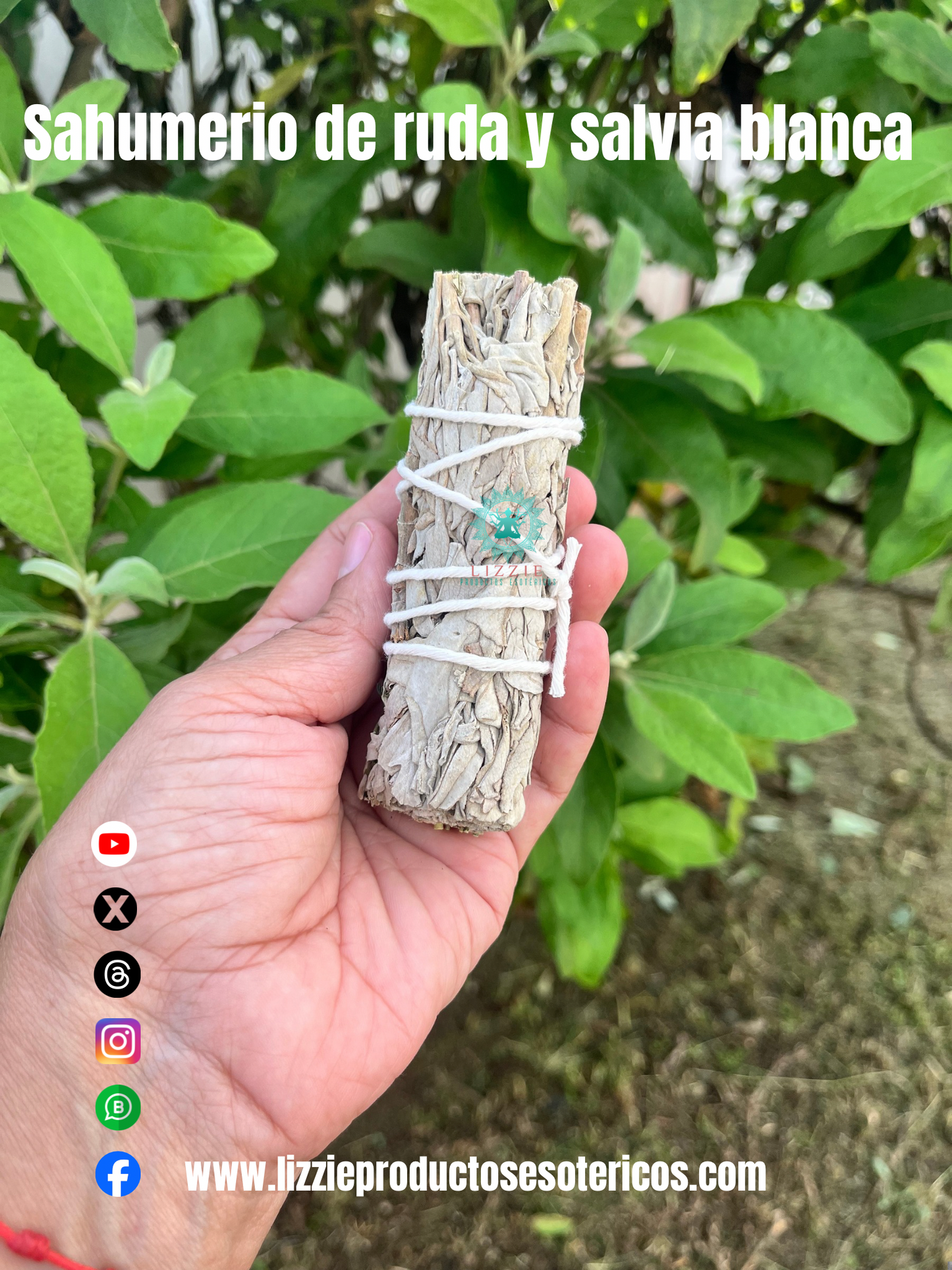 Sahumerio de Ruda y Salvia Blanca