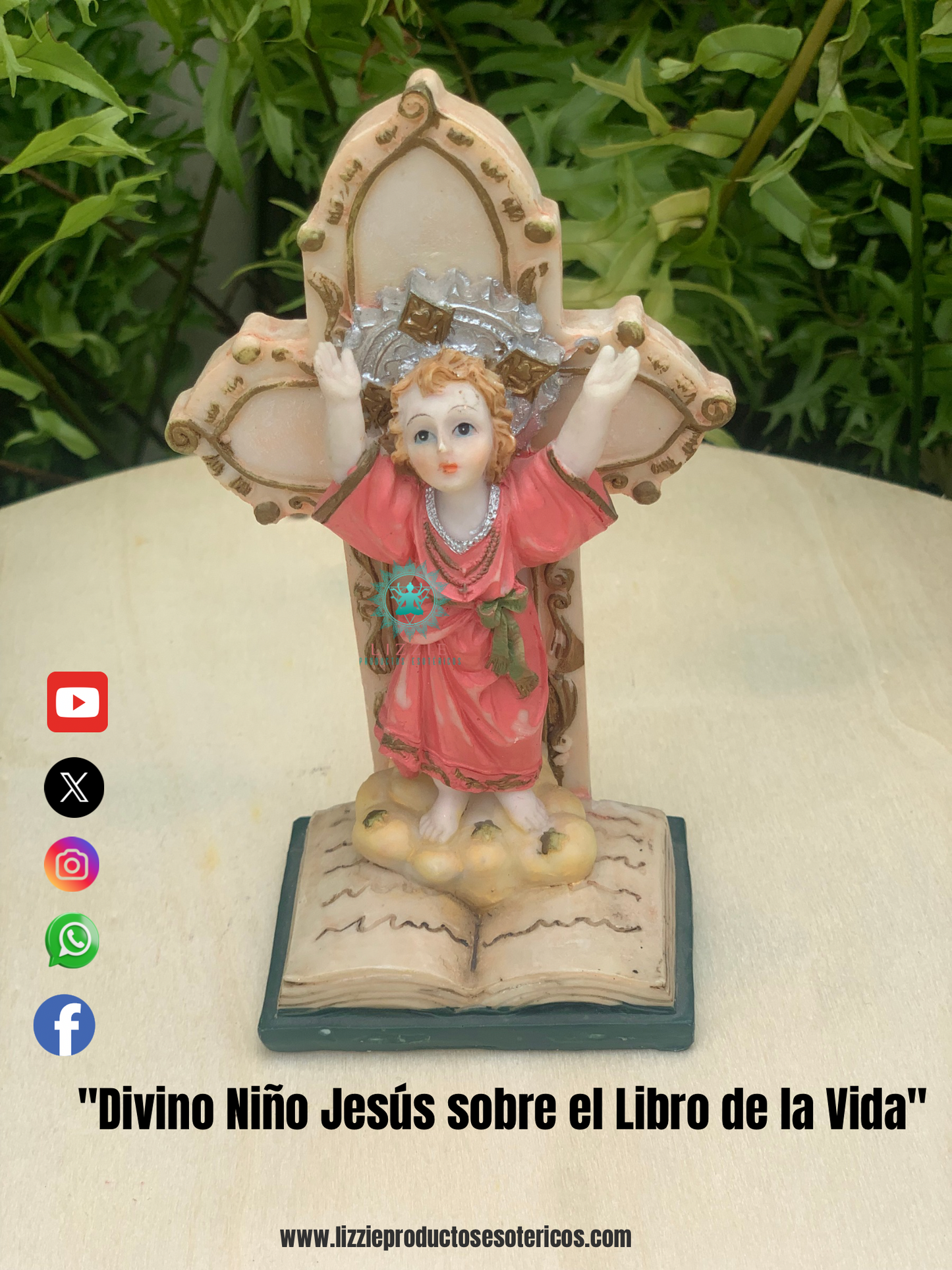 "Divino Niño Jesús sobre el Libro de la Vida"