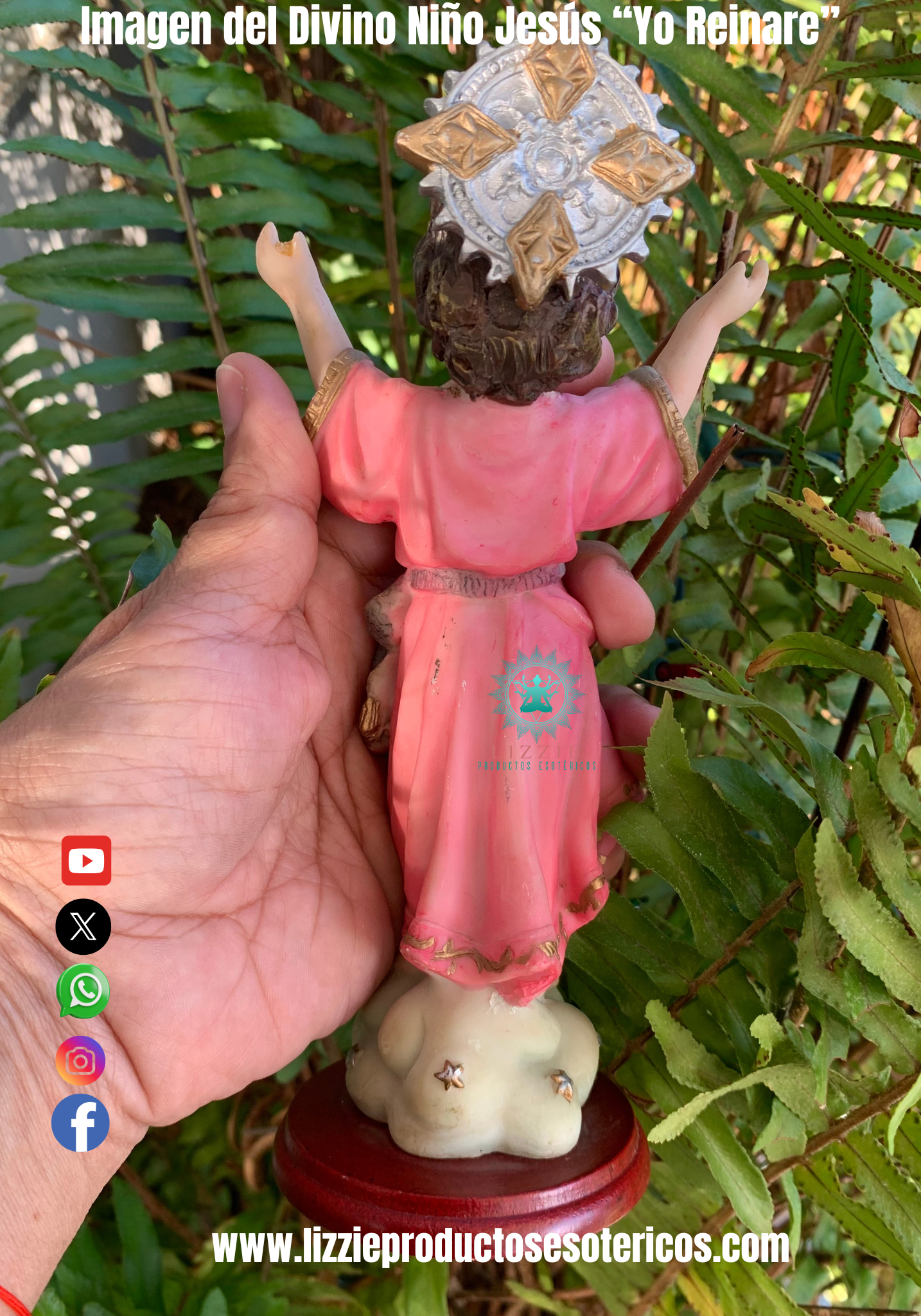 Imagen del Divino Niño “ Yo Reinaré”