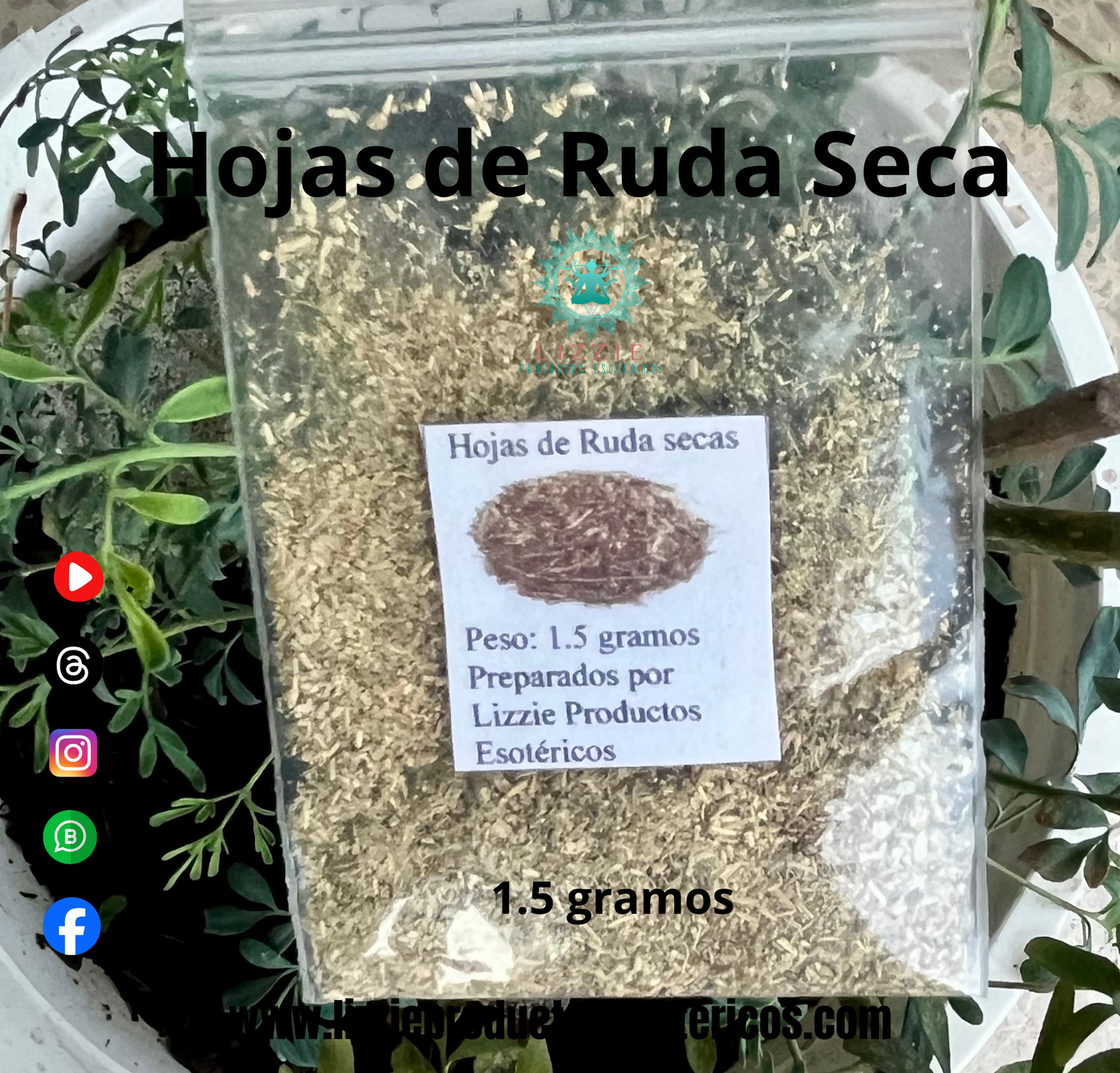 Bolsita de Hojas de Ruda Secas ( 1.5 gramos )