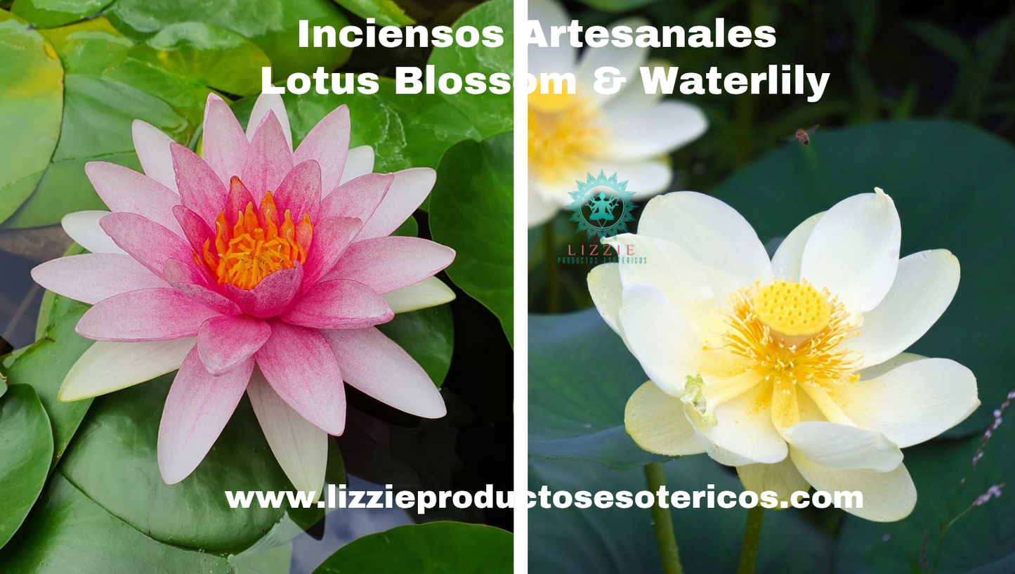 Inciensos