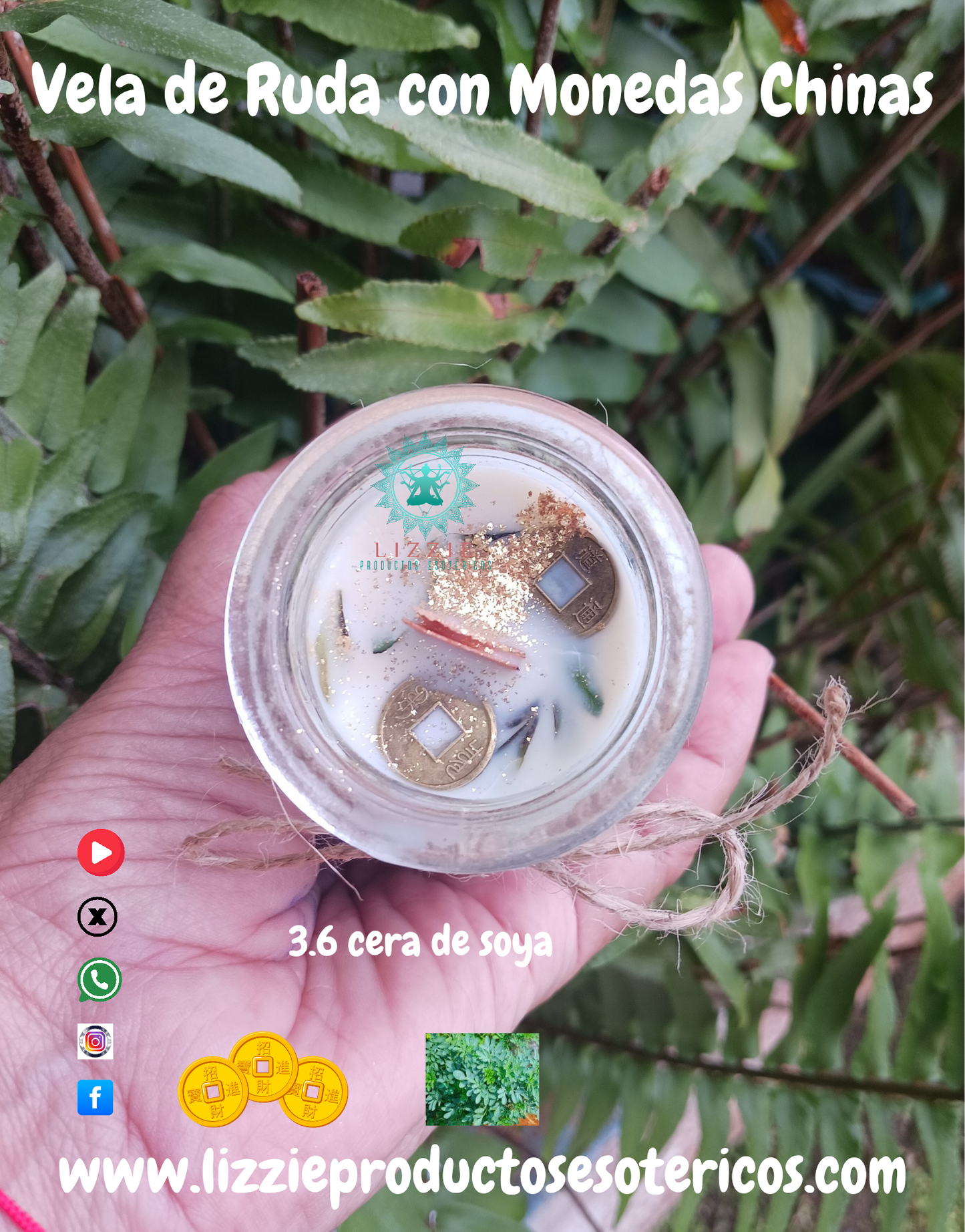 Vela de Ruda con Monedas Chinas Ritualizadas