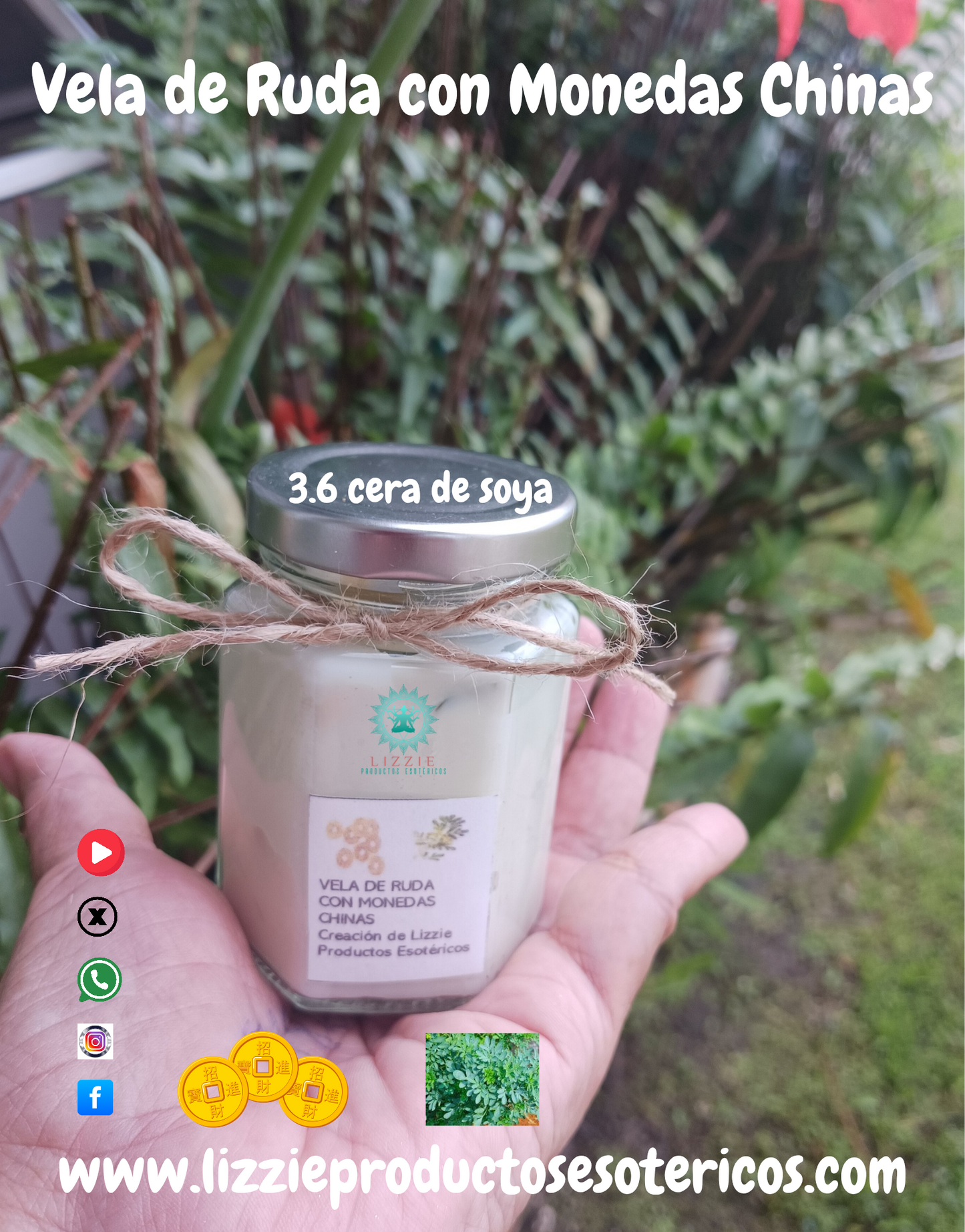 Vela de Ruda con Monedas Chinas Ritualizadas