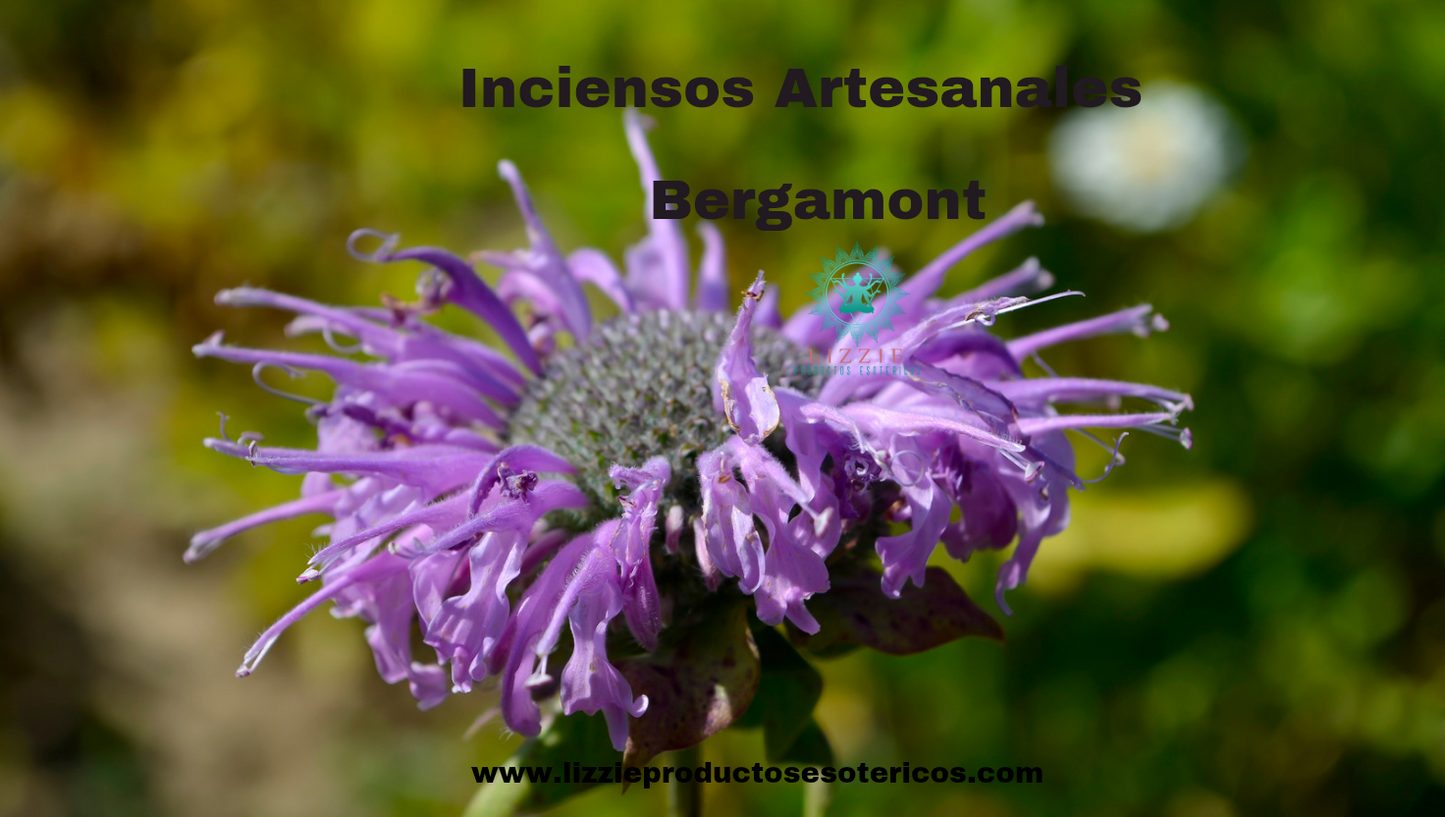 Inciensos