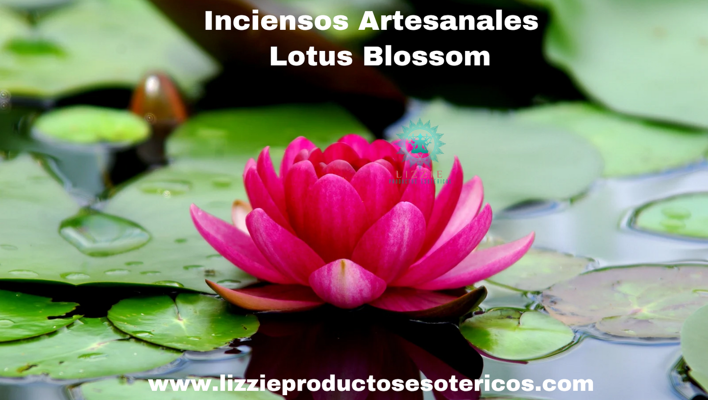 Más Inciensos Artesanales ( solo 5 inciensos por paquete )