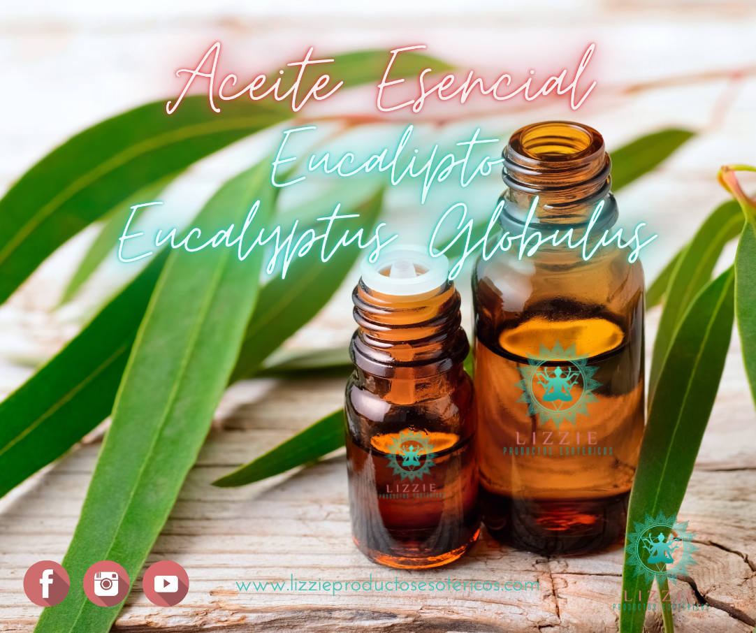 Aceite Esencial de Eucalipto