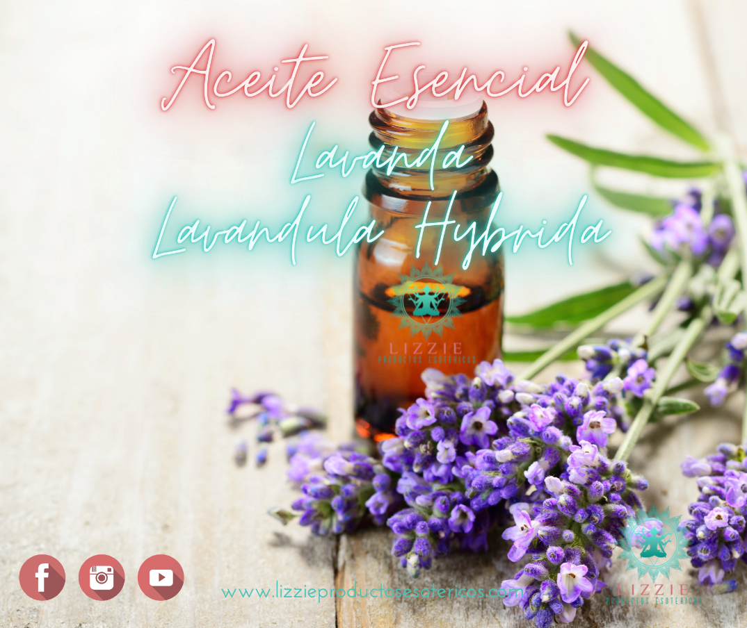 Aceite Esencial de Lavanda