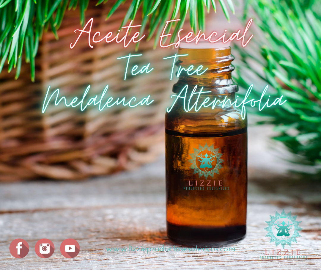 Aceite Esencial de Tea Tree