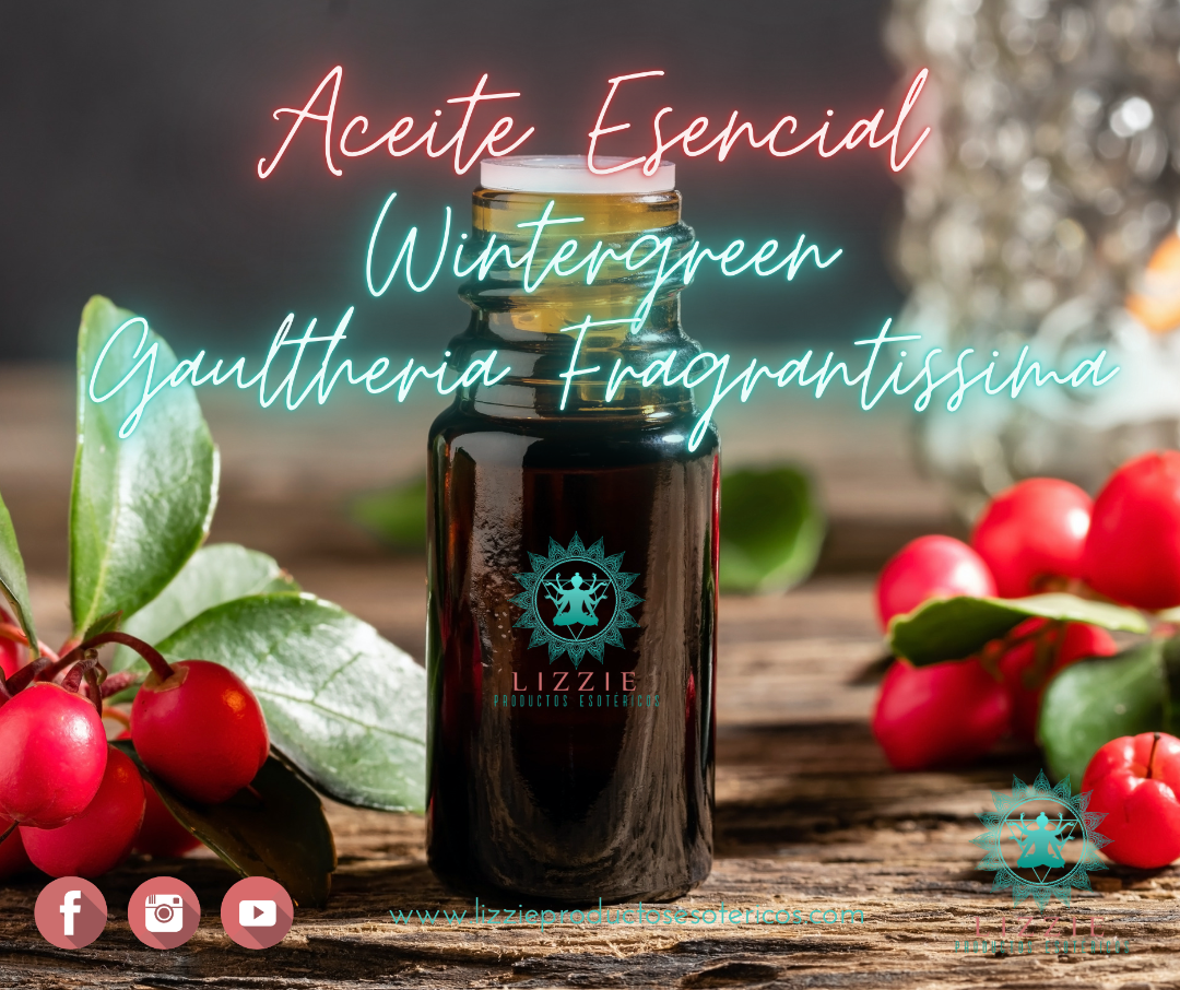 Aceite Esencial Wintergreen/Gaulteria - Distribución Aromática Aceite Esencial Wintergreen/Gaulteria - Distribución Aromática