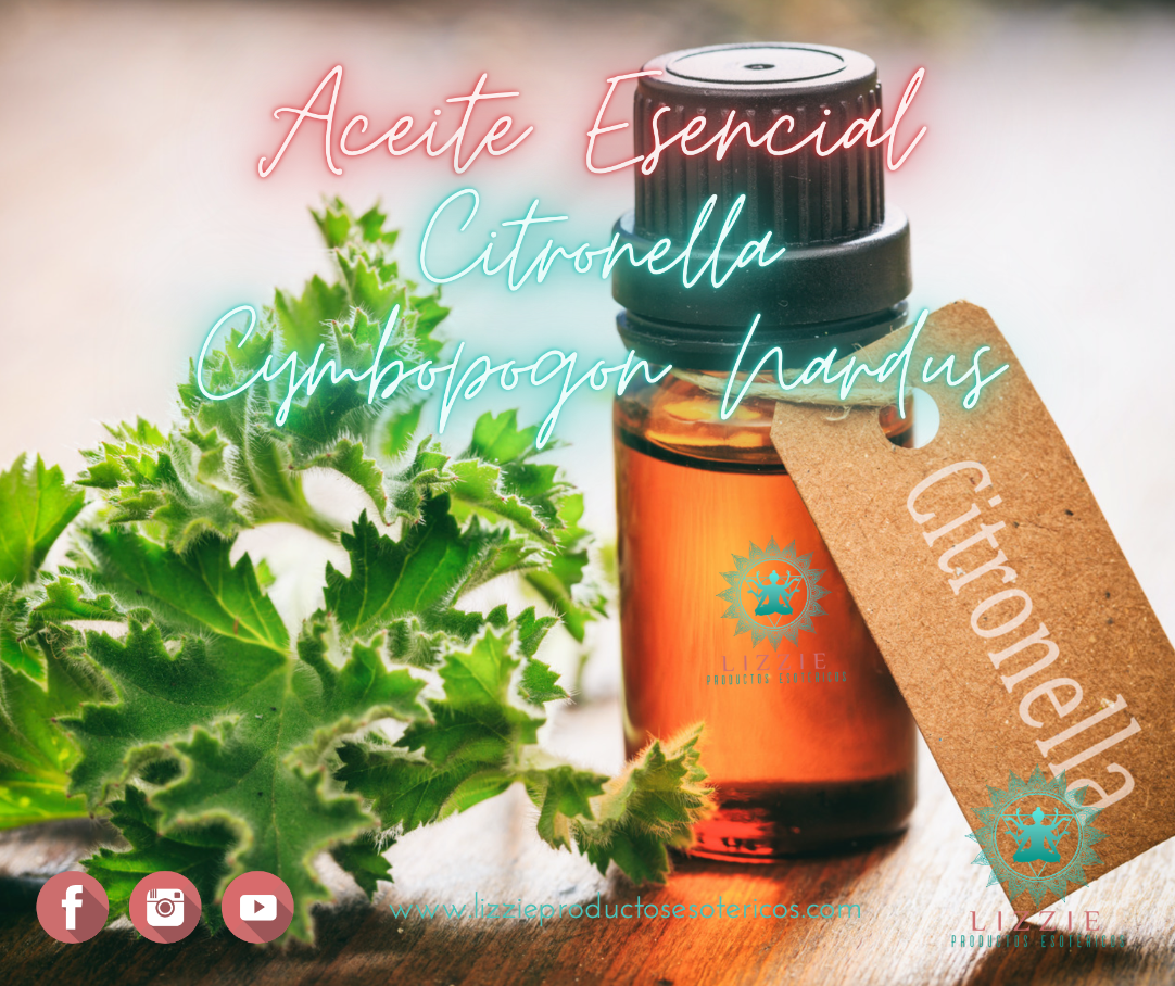 Aceite Esencial de Citronella