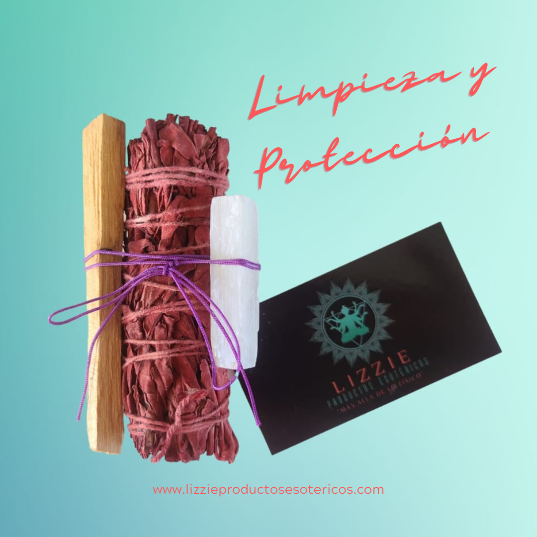 Limpieza y Protección