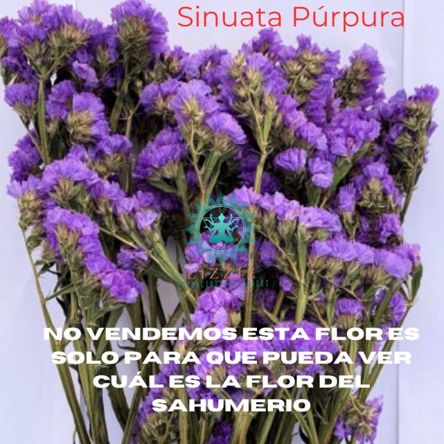 Sahumerio de Rainbow con rosas y sinuata purpura