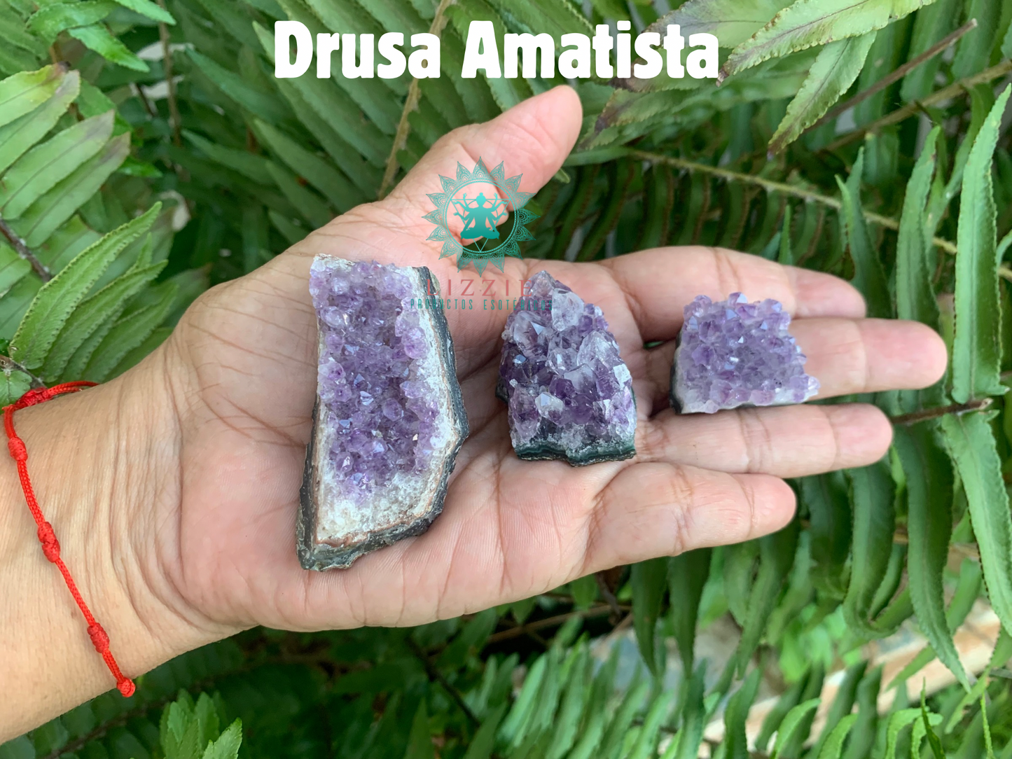 Drusa Amatista