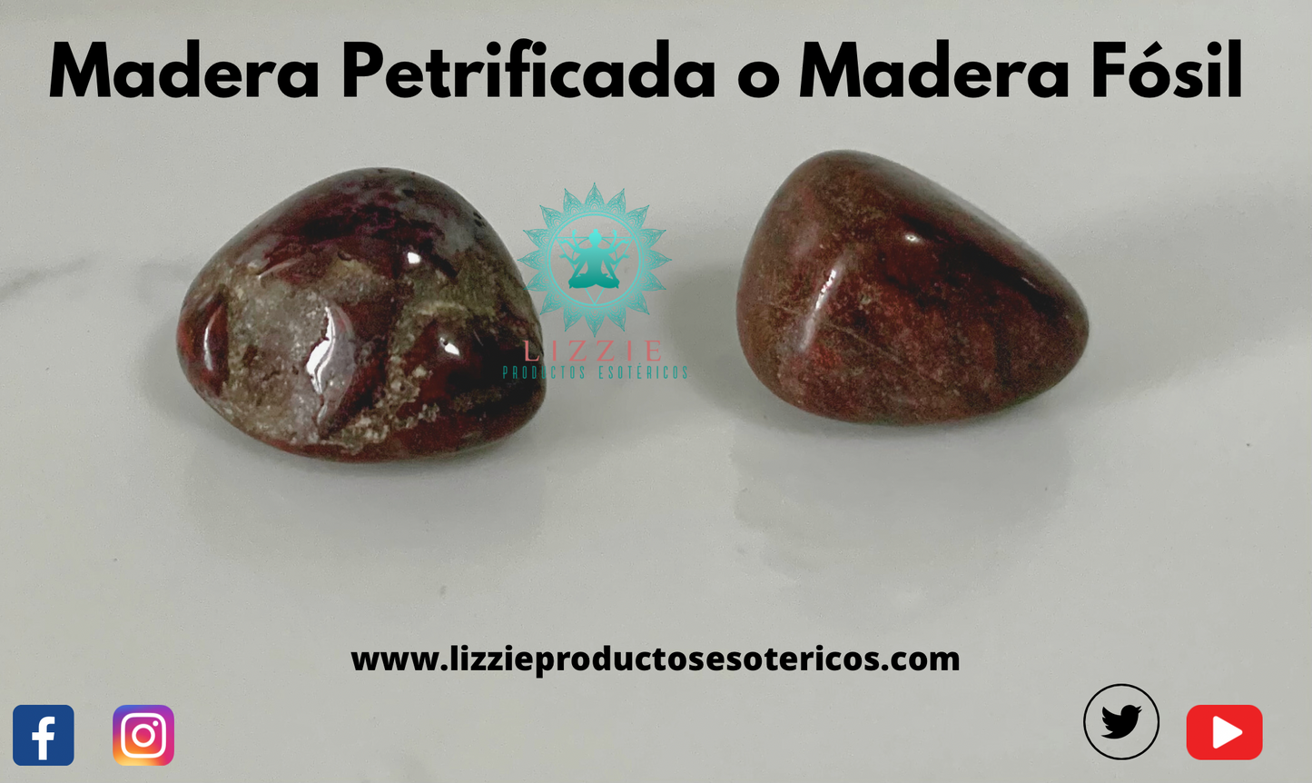 Piedra madera petrificada o madera fósil