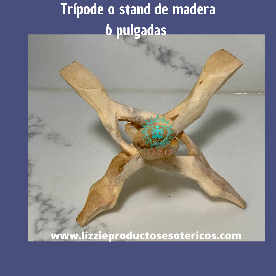 Concha de abulón sola con el pedestal de madera