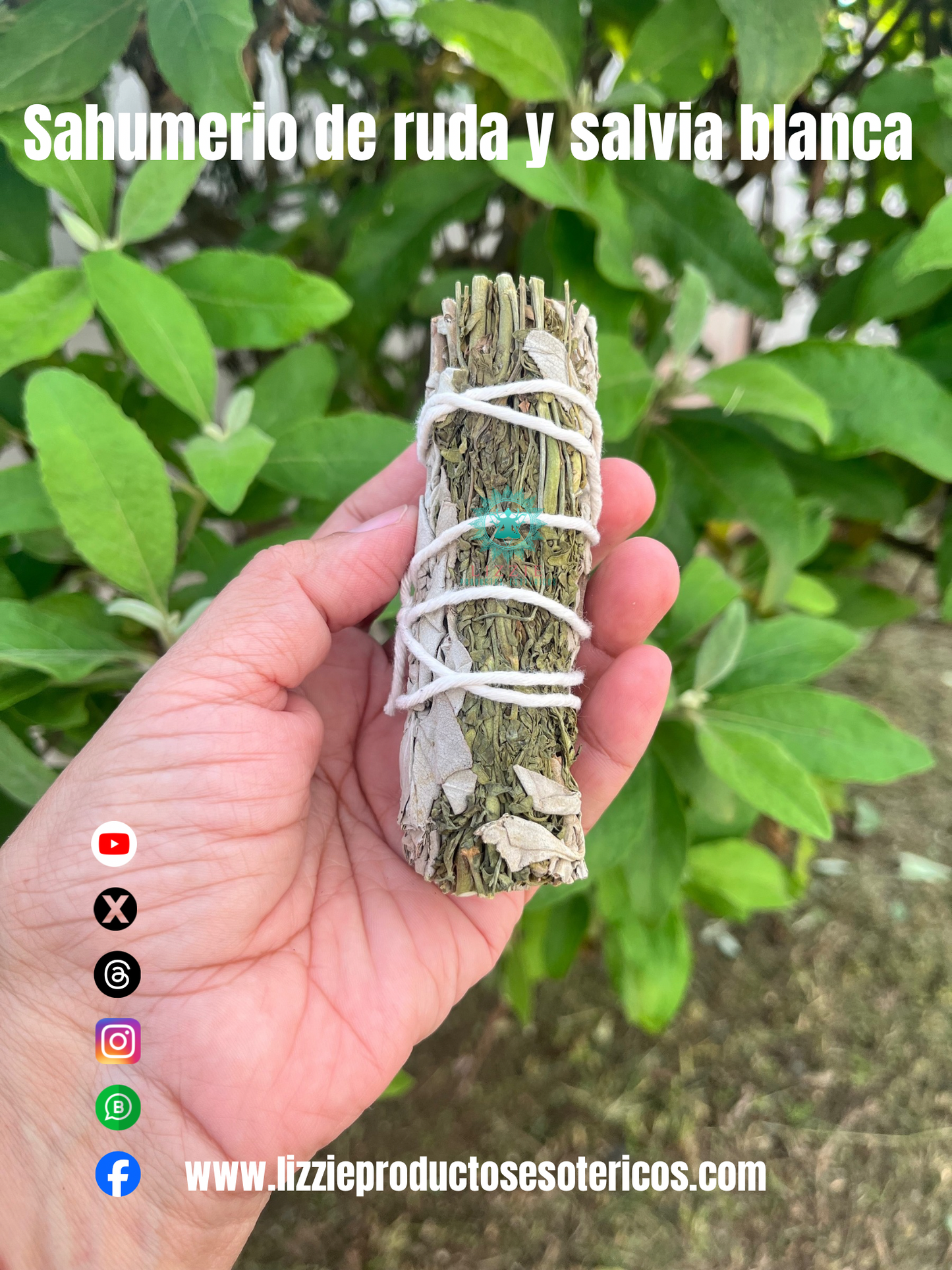 Sahumerio de Ruda y Salvia Blanca