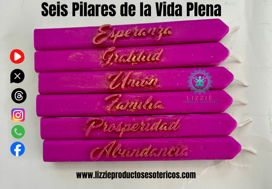 Seis Pilares de la Vida Plena