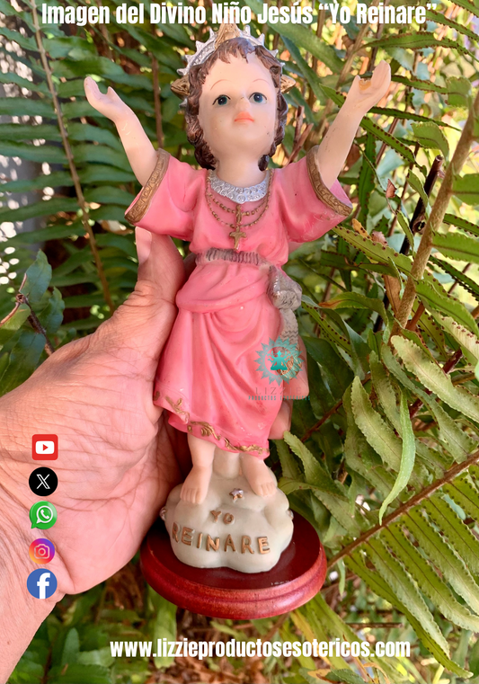 Imagen del Divino Niño “ Yo Reinaré”
