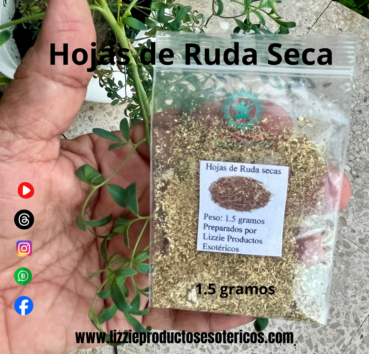 Bolsita de Hojas de Ruda Secas ( 1.5 gramos )