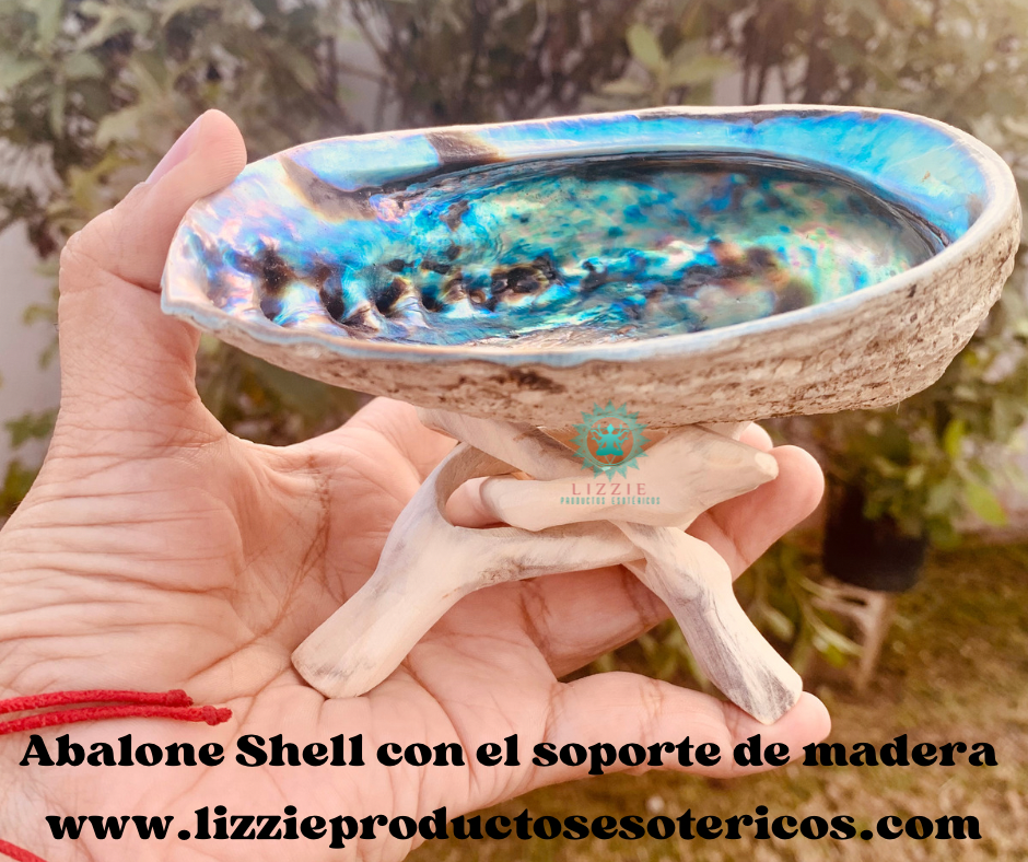 Kit de Abalone Shell