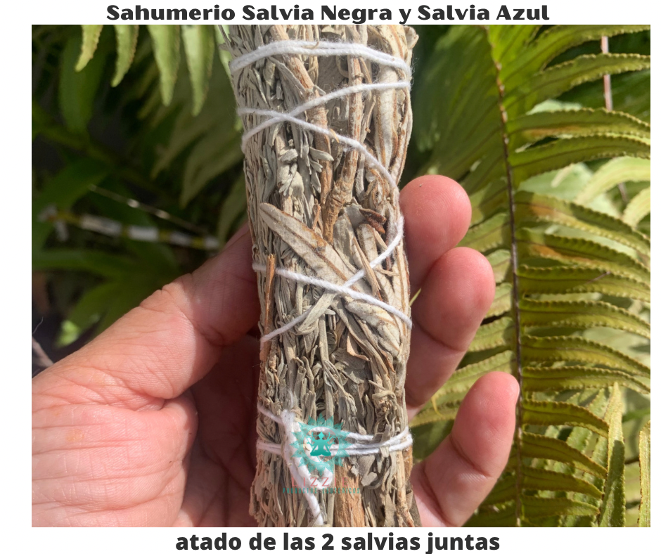 Atado de Sahumerio de Salvia Negra y Salvia azul