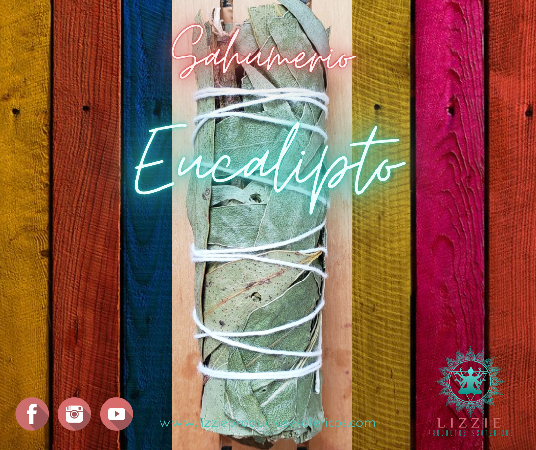 Eucalyptus incense 