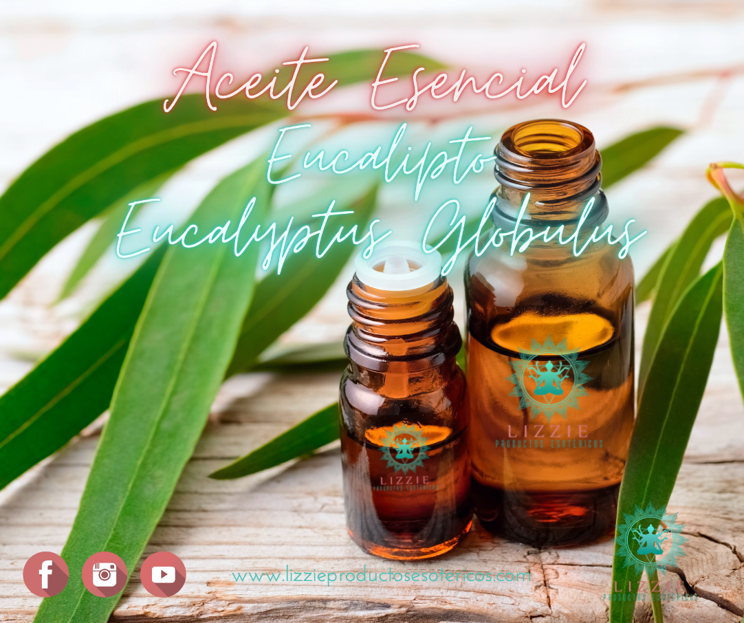 Eucalyptus Essential Oil