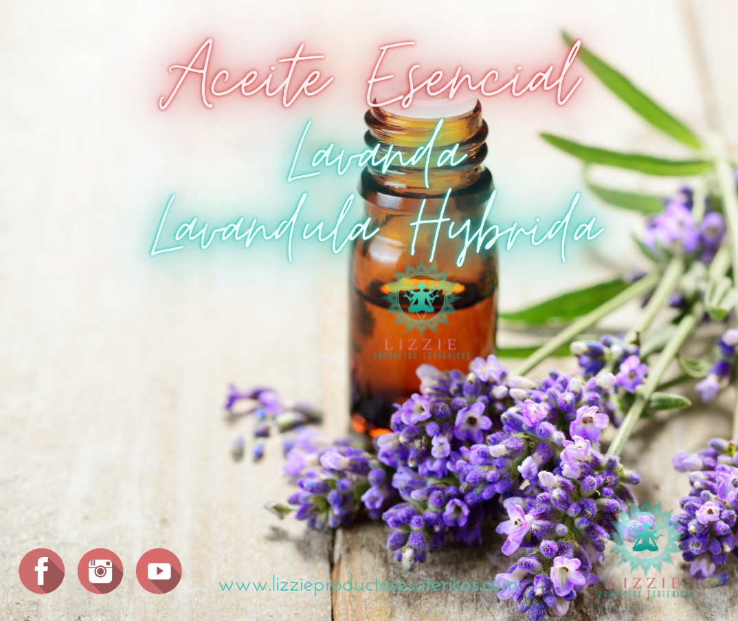 Lavender Essential Oil 