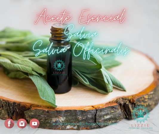 Salvia Officinalis