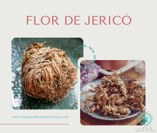 Flor de Jericó.