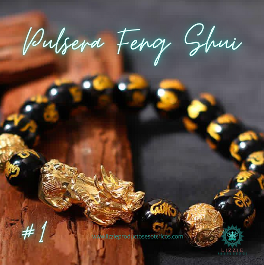 Feng Shui 1