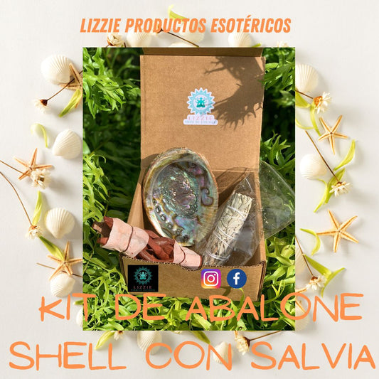 Kit de Abalone Shell , pedestal de madera y Salvia Blanca