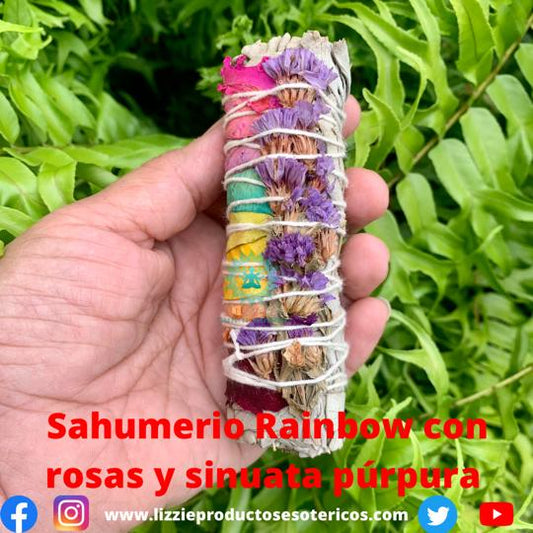 Sahumerio de Rainbow con rosas y sinuata purpura